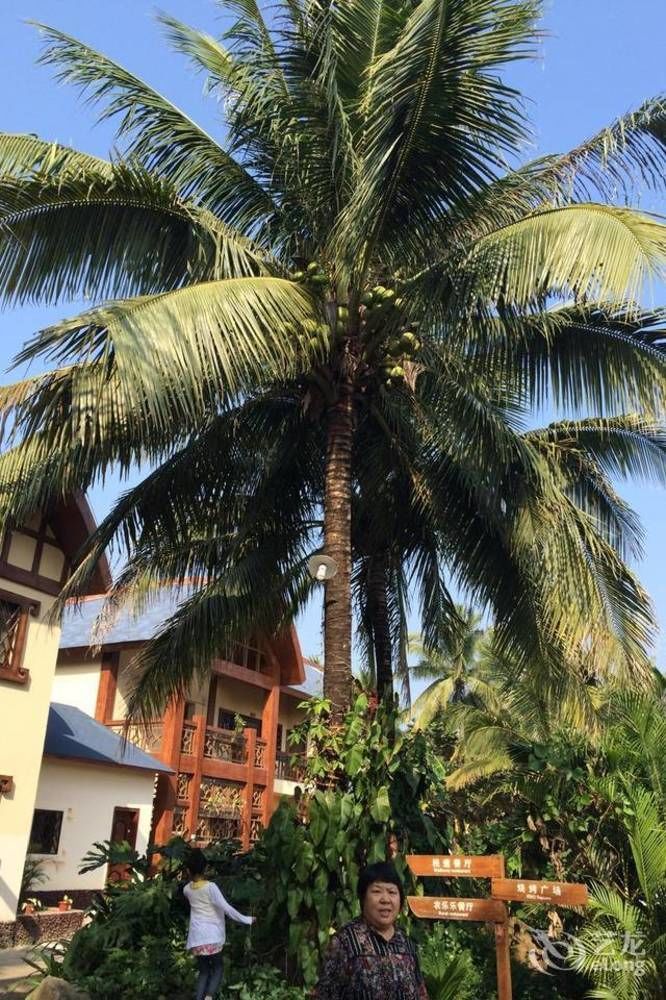 Hainan Bulongsai Resort Hotel Baoting Buitenkant foto